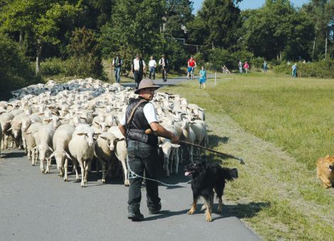 Qualifiziert zur Teilnahme am Landeswettbewerb 2015