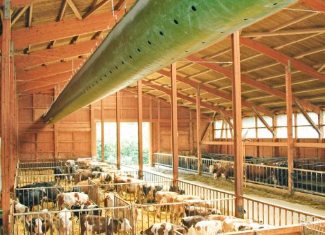Weniger Atemwegsprobleme durch Schlauchbelüftung