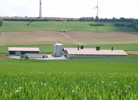 Jeder Schweinestall braucht ein gutes Brandschutzkonzept
