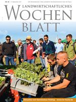 Ausgabe 38/2015 Ausgabe 38/2015