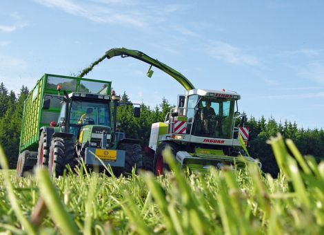 Wie sehen die Ergebnisse der Grassilagen 2015 in RLP aus?