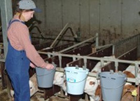 Tipps für die Arbeit