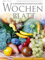 Ausgabe 40/2015 Ausgabe 40/2015