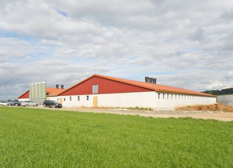 Sauen- und Ferkelaufzuchtstall in Korbach-Nieder-Ense