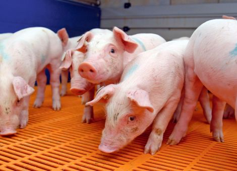 Gesellschaftliche Erwartungen sind schwankend