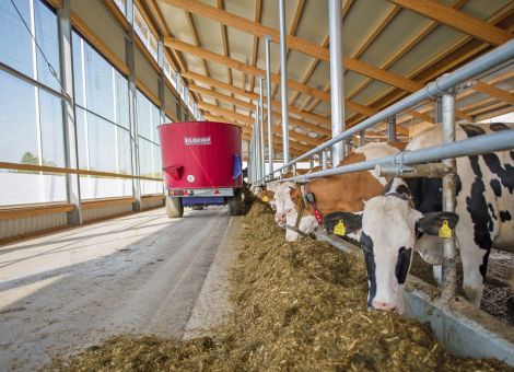 Proteinergänzung schon in der Grundration notwendig