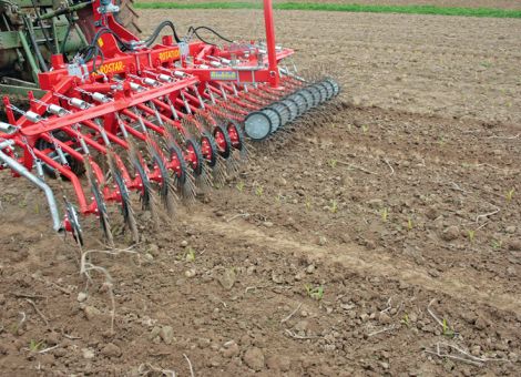 Striegeln und Hacken in mehreren Arbeitsgängen