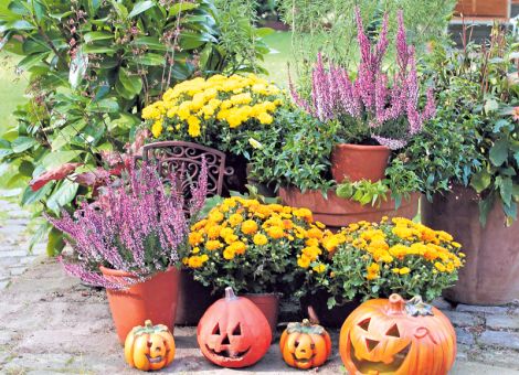 Farbe gegen Tristesse