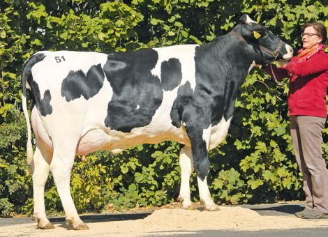 Die Hälfte der Zuchttiere ging ins Ausland 
