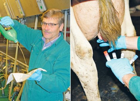 Eutergesundheit in Theorie und Praxis
