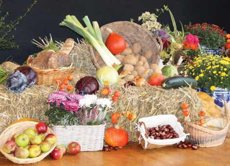Welchen Stellenwert genießen Landwirte in der Gesellschaft?