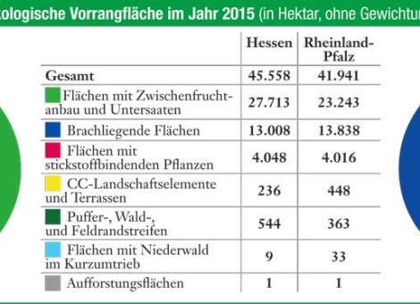Zwischenfrüchte als öVF in Hessen und Rheinland-Pfalz vorn