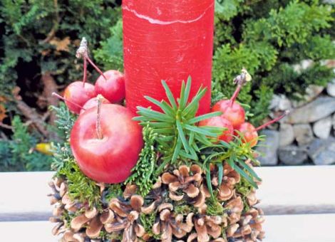 Zapfen und Späne