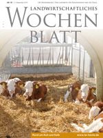 Ausgabe 49/2015 Ausgabe 49/2015