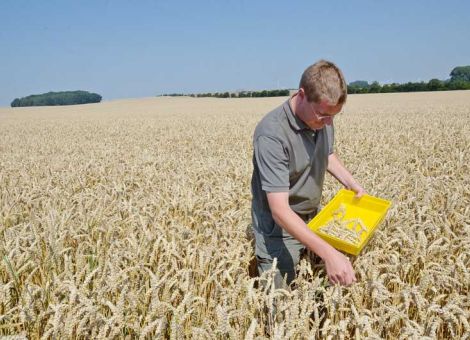 Mühlenwirtschaft warnt vor scharfer Düngeverordnung