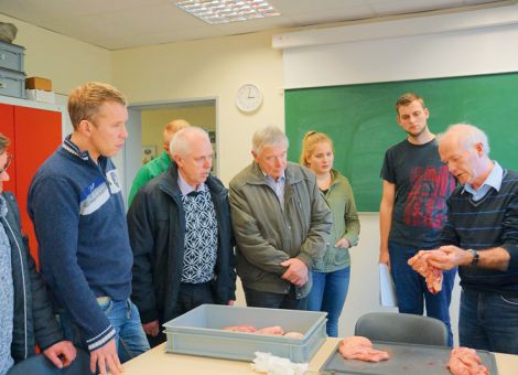 Fütterung und Management beeinflussen die Fruchtbarkeit