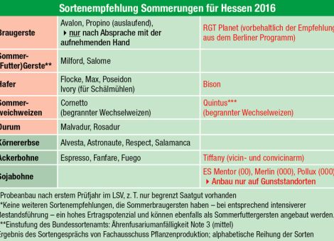 Warum Sommerungen anbauen?