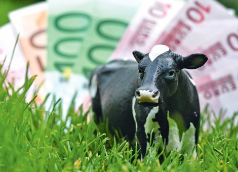 Liquiditätshilfeprogramm nicht ganz ausgeschöpft