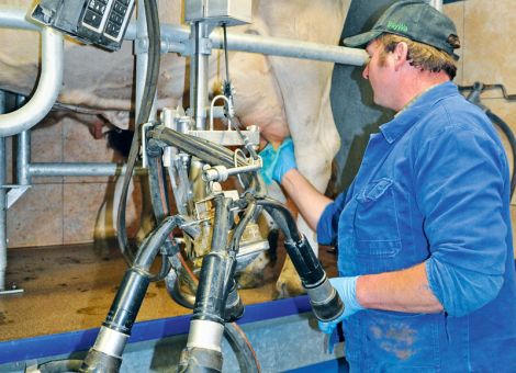 Die Reinigung der Melkanlage ist eine Wissenschaft für sich