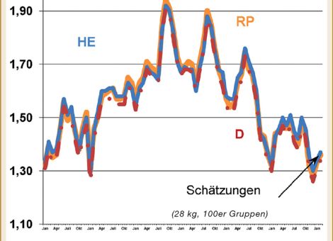 Jungbullenpreise behaupten sich