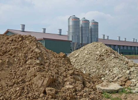 BMU will Filterpflicht für große Schweinehaltungen