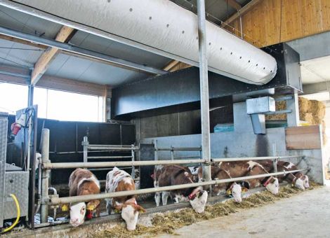 Für gesundes Stallklima in der Kälberaufzucht sorgen