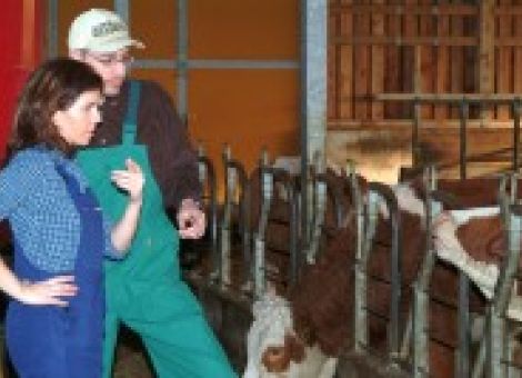 Familienunternehmen handeln oft nicht sehr geschäftsmäßig