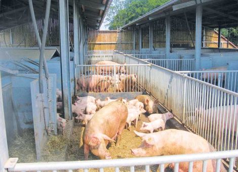 Herausforderungen im wachsenden Markt annehmen