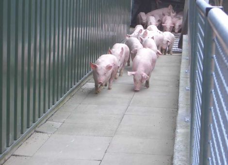 Drastischer Einkommensrückgang
