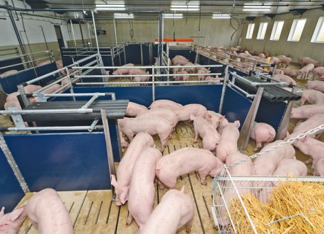 Höhere Anforderungen verteuern die Erzeugung