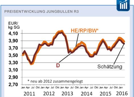 Angebot an Jungbullen derzeit überschaubar