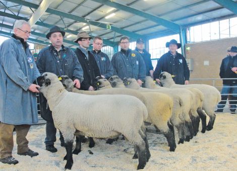 Viele Schafhalter auf der Limburger Bockauktion