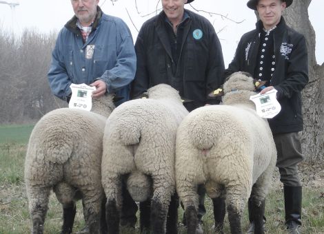 Schafzüchter aus Rheinland-Pfalz vorne dabei