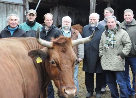 Rotes-Höhenvieh-Züchter fördern die Erhaltungszucht 
