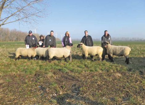 Hessens Fleischschafzüchter mit Spitzenplatzierungen