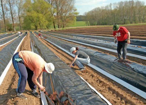 Mechanisierungsgrad und Druck auf Beschäftigte steigen