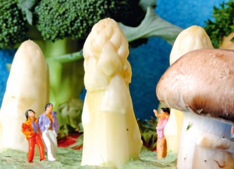 Kunstprojekt über „Hessen und Essen“