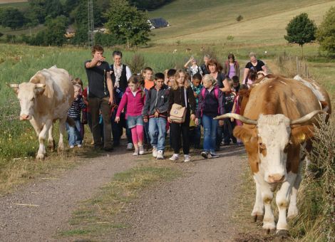 Lernort Bauernhof – Schule und Aufklärung vor Ort