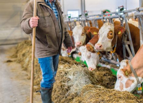 Koalition kündigt Hilfspaket für die Landwirtschaft an