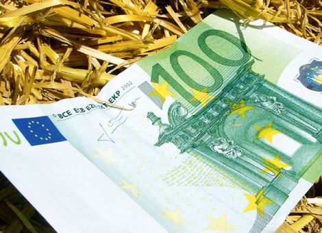 Wie landwirtschaftliche Betriebe liquide bleiben