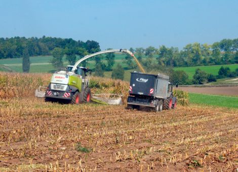 Futtergrundlage zur Milcherzeugung muss günstiger werden