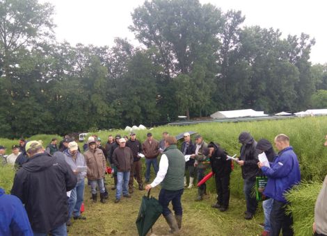Rapsfeldtag trotz Regen gut besucht