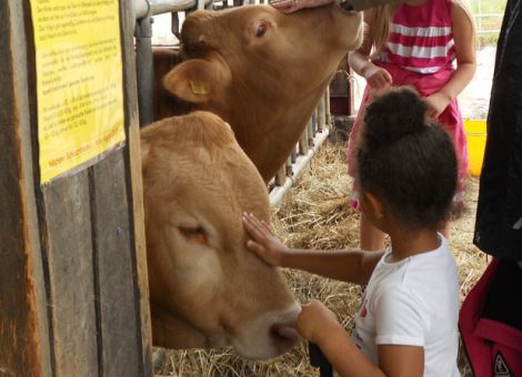 Tierisch gutes Programm am Tag der offenen Tür