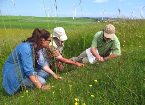 Win-win-Situation für Landwirte und Naturschützer