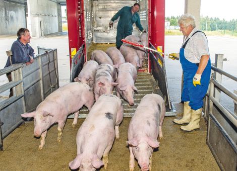 VEZG-Preis steigt auf 1,60 Euro