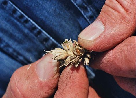 Althergebrachte Faustzahlen gelten nicht mehr