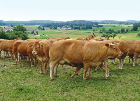 Über die Grünlandnutzung der Schwäbischen Alb informiert
