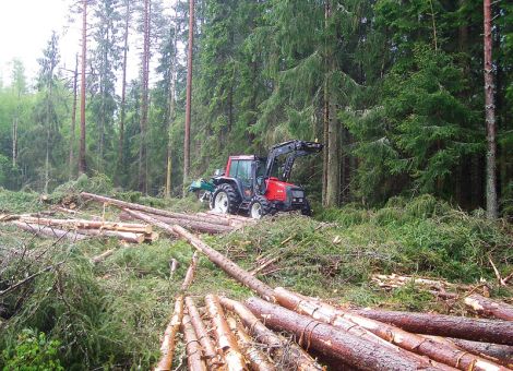 2  Mio. Kubikmeter Holz im hessischen Staatswald geerntet