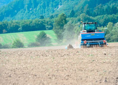 Behandlung zu empfindlicher Entwicklungsphase