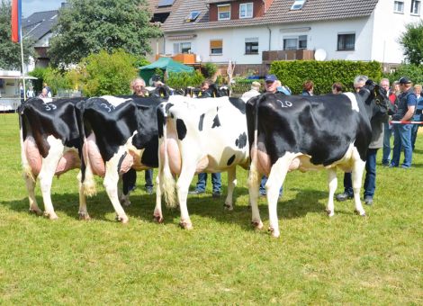 Familie Behrend hat die „Miss Wolfhagen 2016“